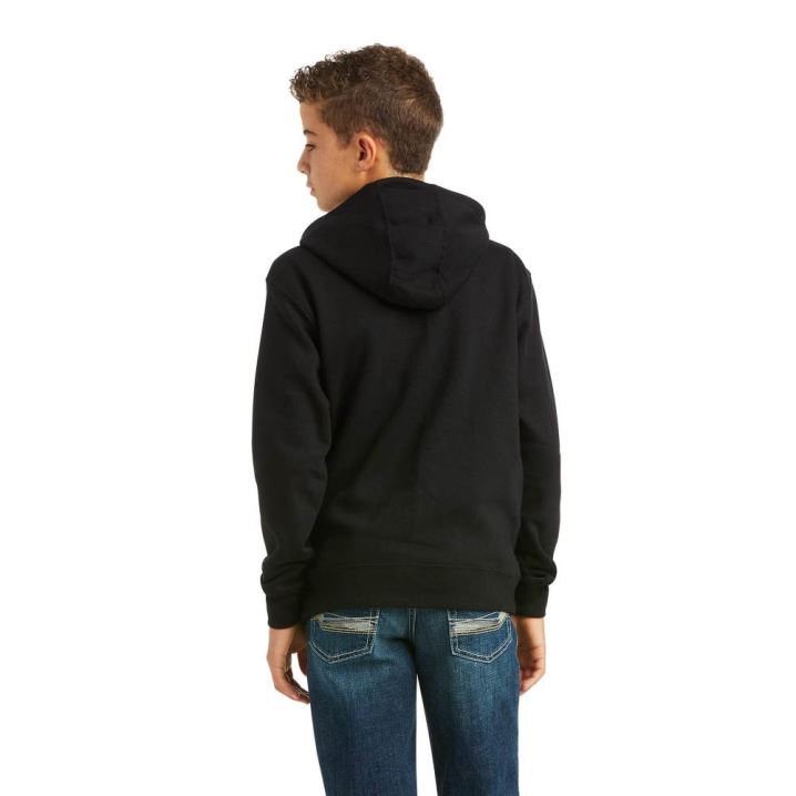 Ariat Basic Hoodie Sweatshirt Schwarz Grün | HEy9m9nC