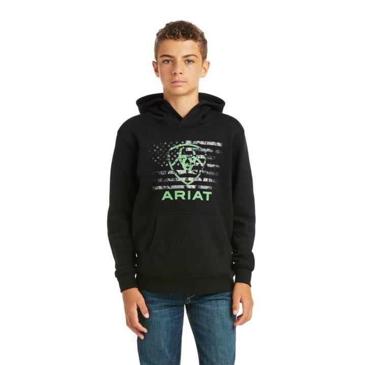 Ariat Basic Hoodie Sweatshirt Schwarz Grün | HEy9m9nC