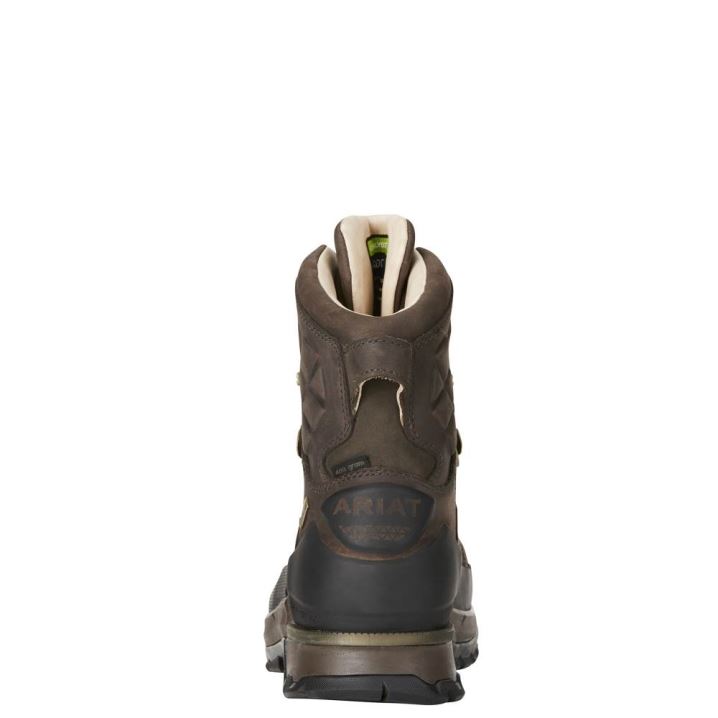 Ariat Catalyst VX Defiant 8" Gore-Tex 400g Hunting Boot Braun | V7bvJYsb