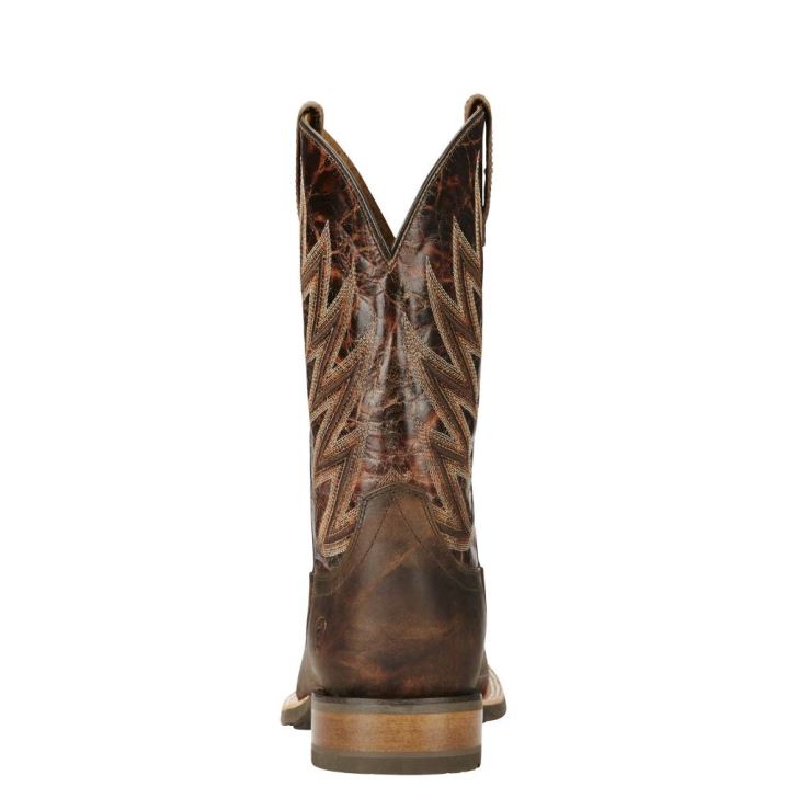 Ariat Challenger Western Boot Braun | 9vTfqP8x