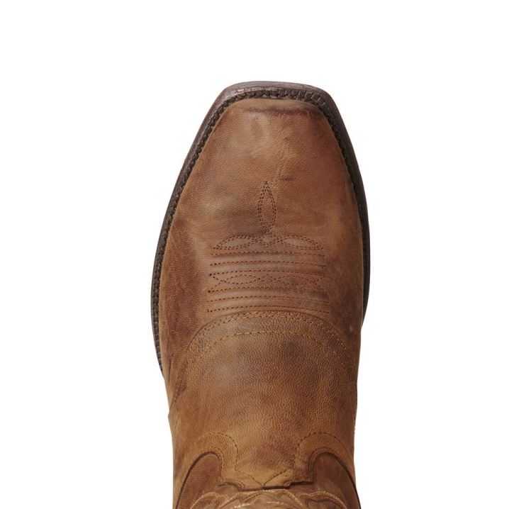 Ariat Circuit Striker Western Boot Rot Braun | 53pTrrIh