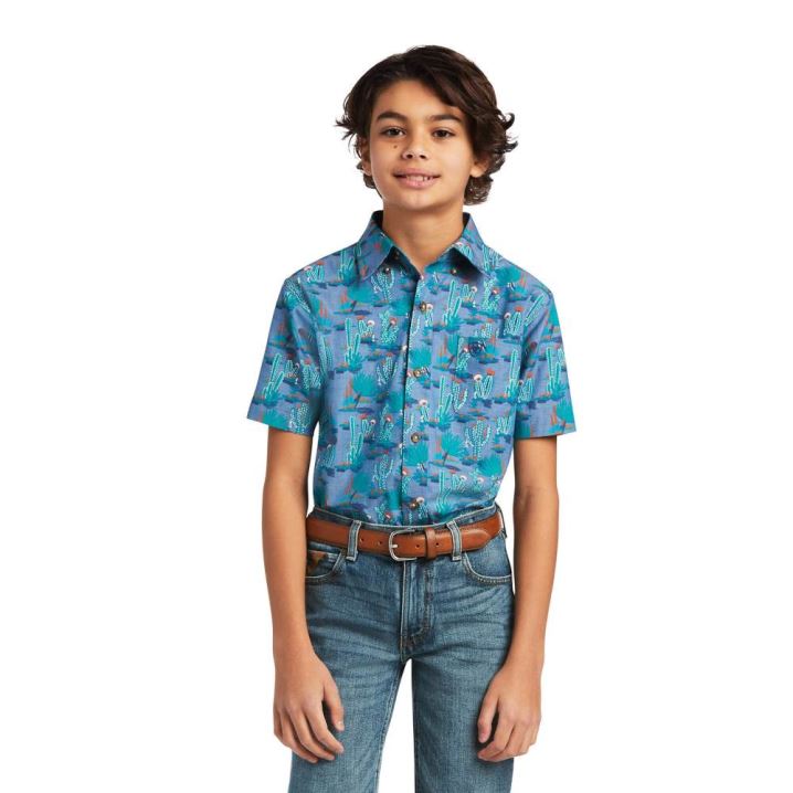 Ariat Daxton Klassische Fit Shirt Mintfarben | 3Z6Kz7xx