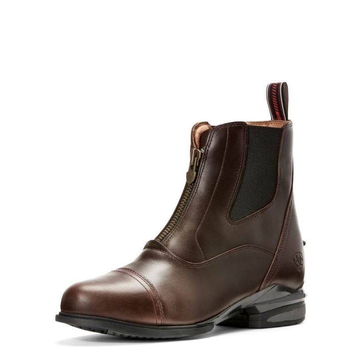 Ariat Devon Nitro Paddock Boot Schokolade | Fhyhizwy