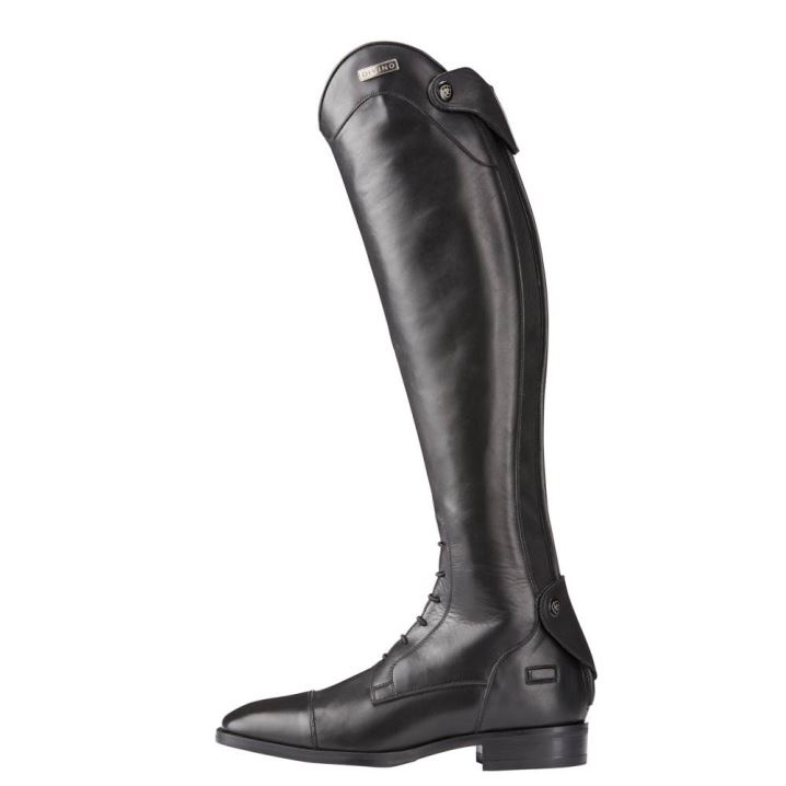 Ariat Divino Hohe Reiten Boot Schwarz | R4jABppY