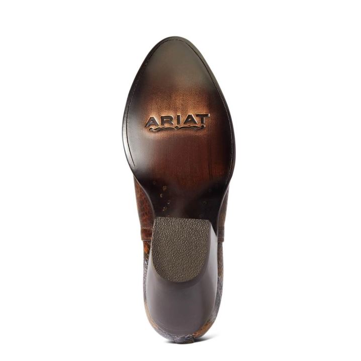 Ariat Dixon R Kappe Western Boot Braun Schlangenoptik | xVqfuxz5