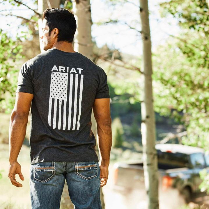 Ariat Freedom T-Shirt Grau | rTFi1L3v