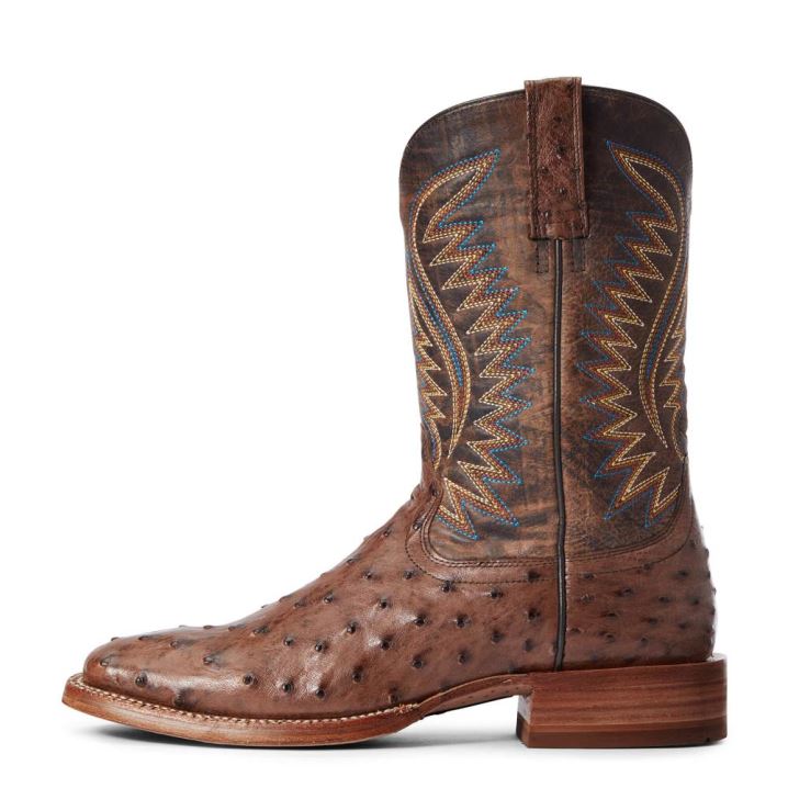 Ariat Gallup Western Boot Mocha Full Quill Ostrich | jQ6XsXl5