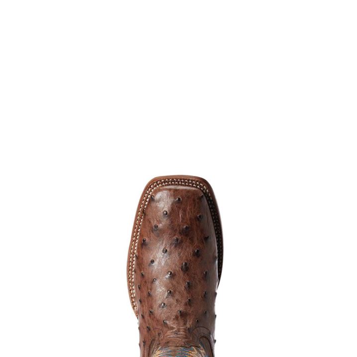 Ariat Gallup Western Boot Mocha Full Quill Ostrich | jQ6XsXl5