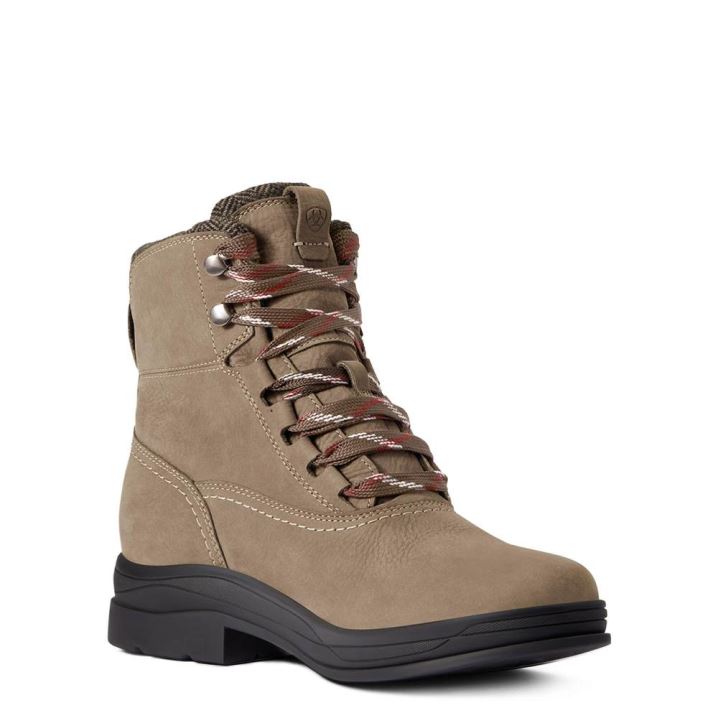 Ariat Harper Wasserdichte Boot Moss | HMKa2ZpE