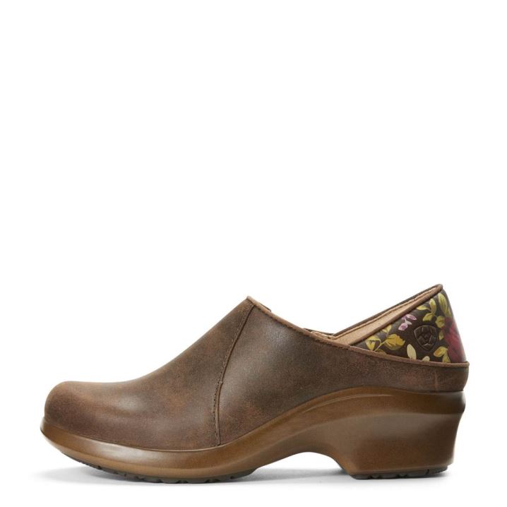 Ariat Hera Expert Clog Braun | W0zgtprD