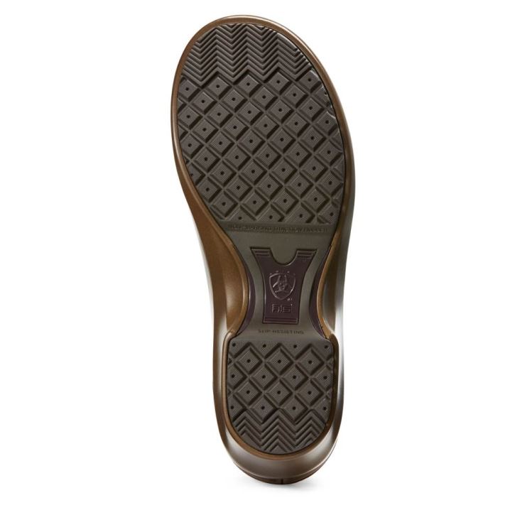 Ariat Hera Expert Clog Braun | W0zgtprD