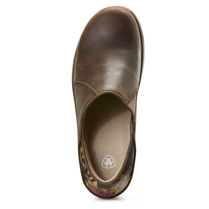 Ariat Hera Expert Clog Braun | W0zgtprD