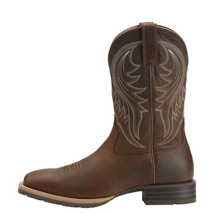 Ariat Hybrid Rancher Western Boot Braun | u8goIWUL