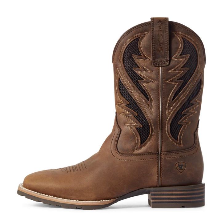 Ariat Hybrid VentTEK Western Boot Braun | WitZ83SG