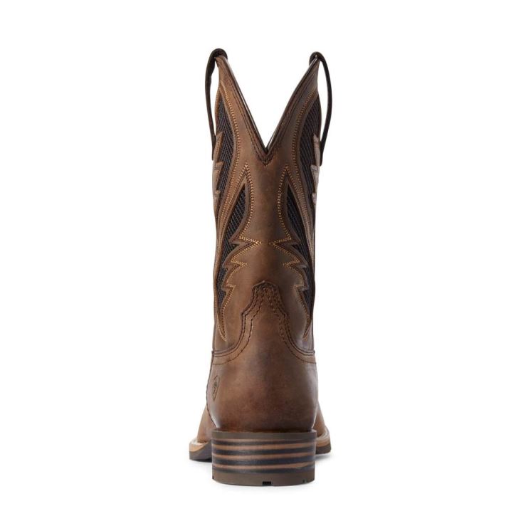 Ariat Hybrid VentTEK Western Boot Braun | WitZ83SG