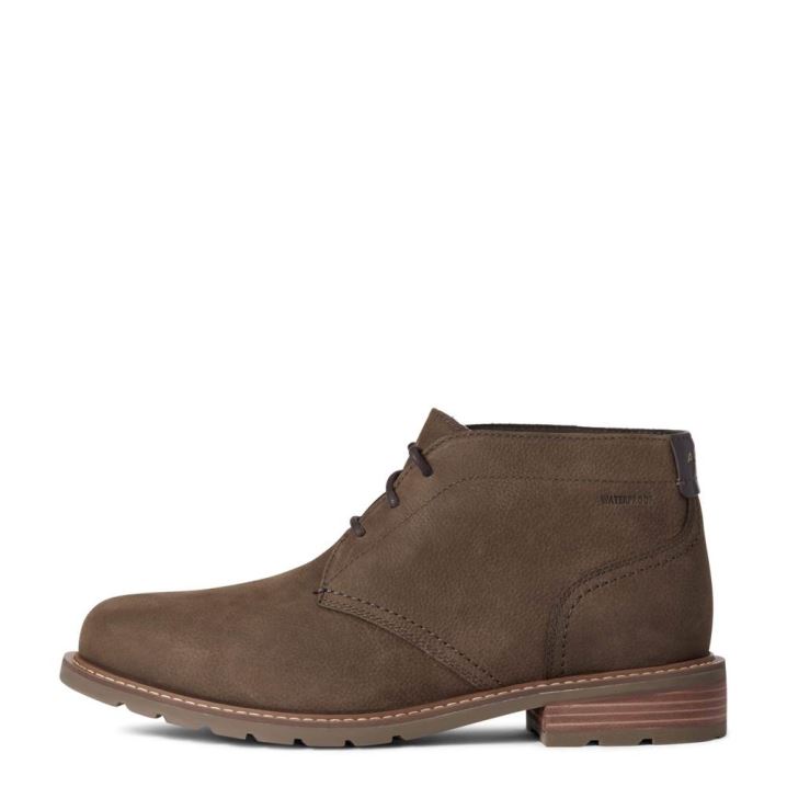 Ariat Kingham Wasserdichte Boot Java | 1qlkPlUp