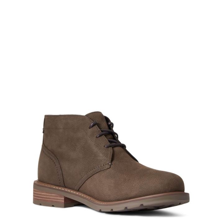 Ariat Kingham Wasserdichte Boot Java | 1qlkPlUp