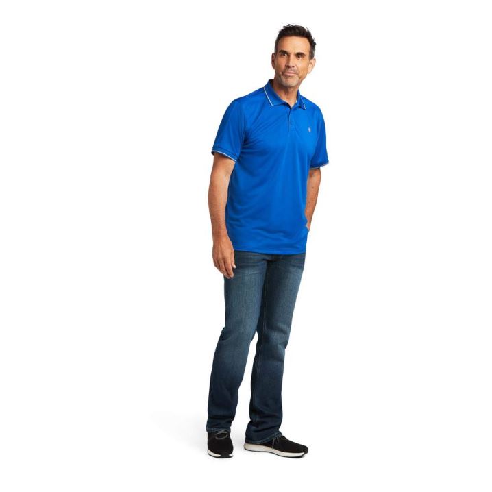 Ariat Logo Fitted Polo Blau | bNtK7toS