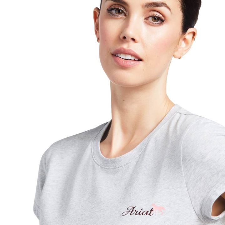 Ariat Logo Script T-Shirt Grau | FNOJzFmD