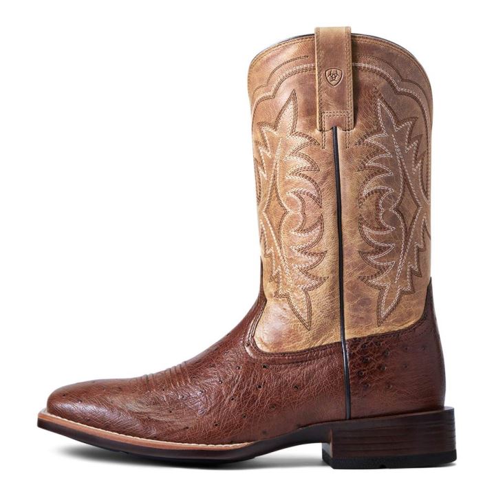 Ariat Night Life Ultra Western Boot Antique Tabac Sq Ostrich | TfzIOmva