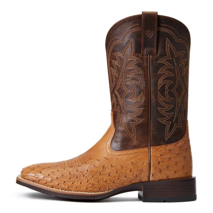 Ariat Night Life Ultra Western Boot Ranger Smooth Quill Ostrich | lqA4lHAn