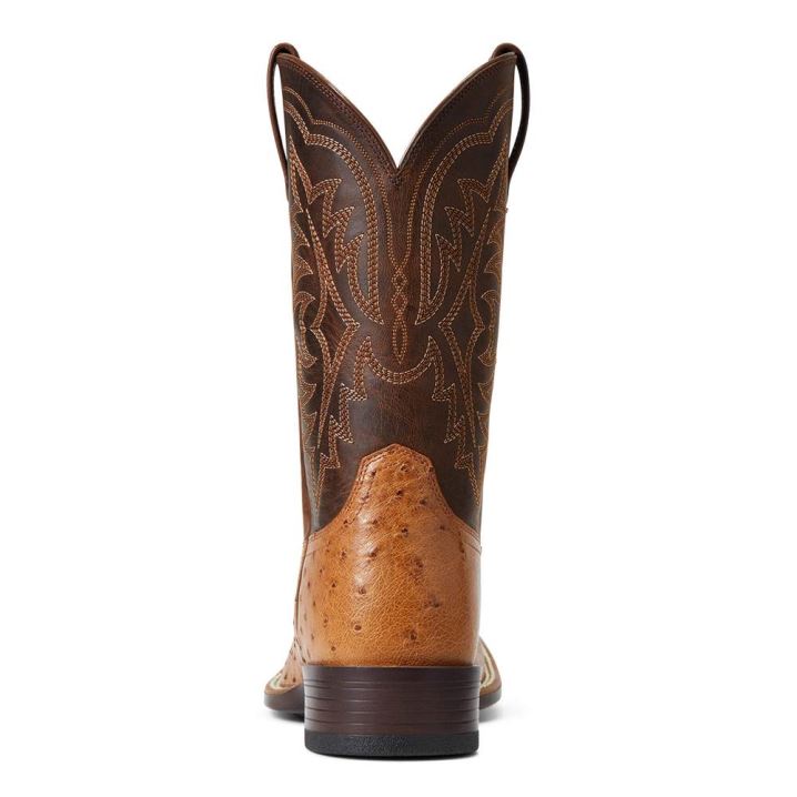 Ariat Night Life Ultra Western Boot Ranger Smooth Quill Ostrich | lqA4lHAn