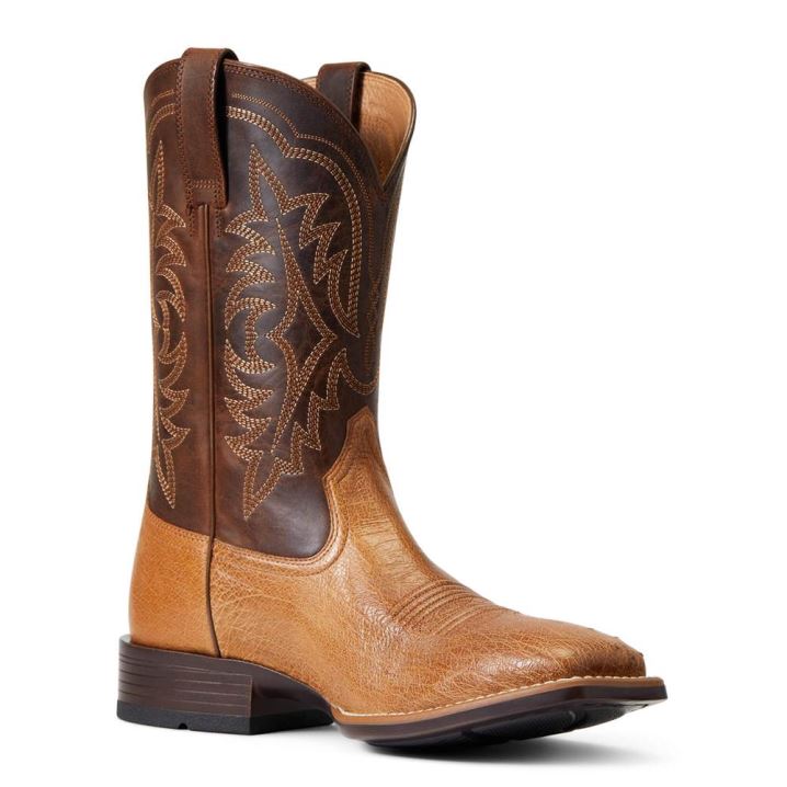 Ariat Night Life Ultra Western Boot Ranger Smooth Quill Ostrich | lqA4lHAn