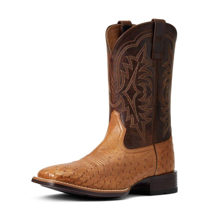 Ariat Night Life Ultra Western Boot Ranger Smooth Quill Ostrich | lqA4lHAn