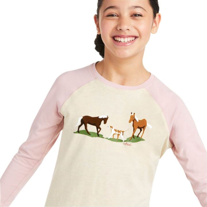 Ariat Pasture Scene T-Shirt Grau Rosa | ItKcQafR