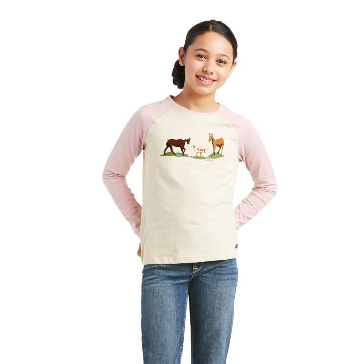 Ariat Pasture Scene T-Shirt Grau Rosa | ItKcQafR