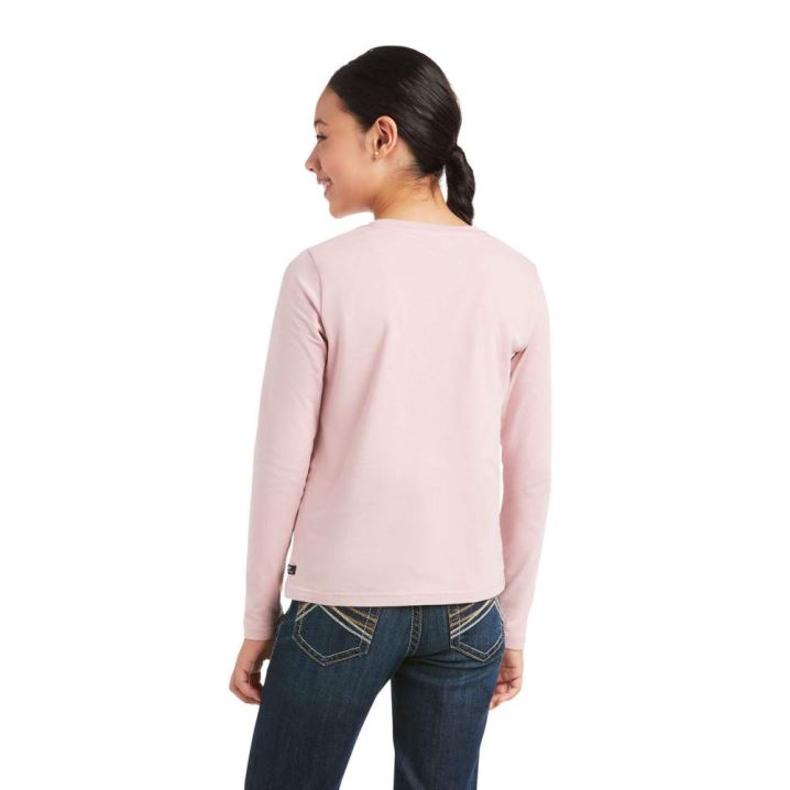 Ariat Powder Ponies T-Shirt Grau Rosa | hgn2bKAX