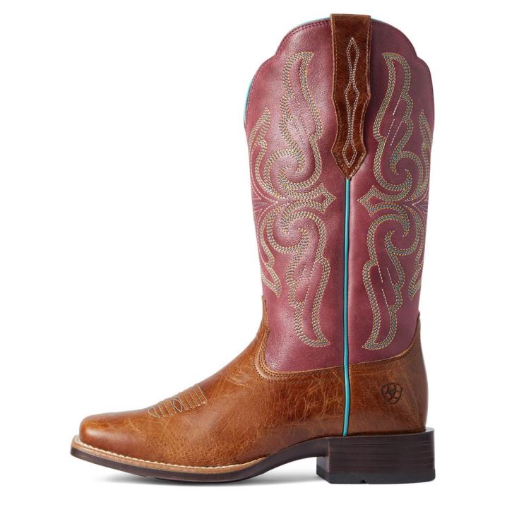 Ariat Primera StretchFit Western Boot Dunkelbraun | ty4O6w02