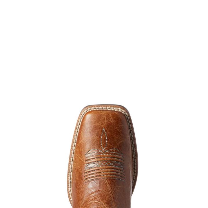 Ariat Primera StretchFit Western Boot Dunkelbraun | ty4O6w02