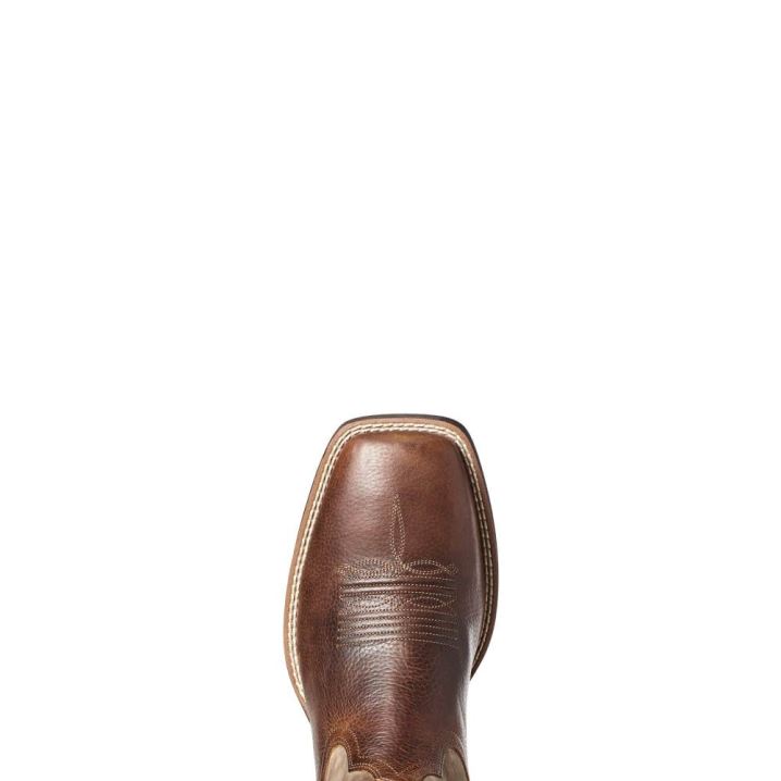 Ariat Qualifier Western Boot Braun | 7CKs5rI5