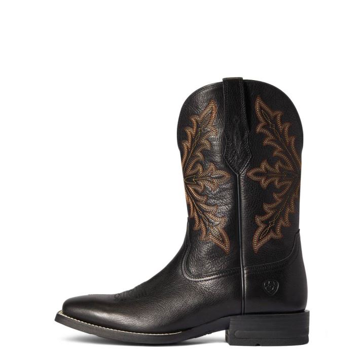 Ariat Qualifier Western Boot Night Sky | Li3qzxPz