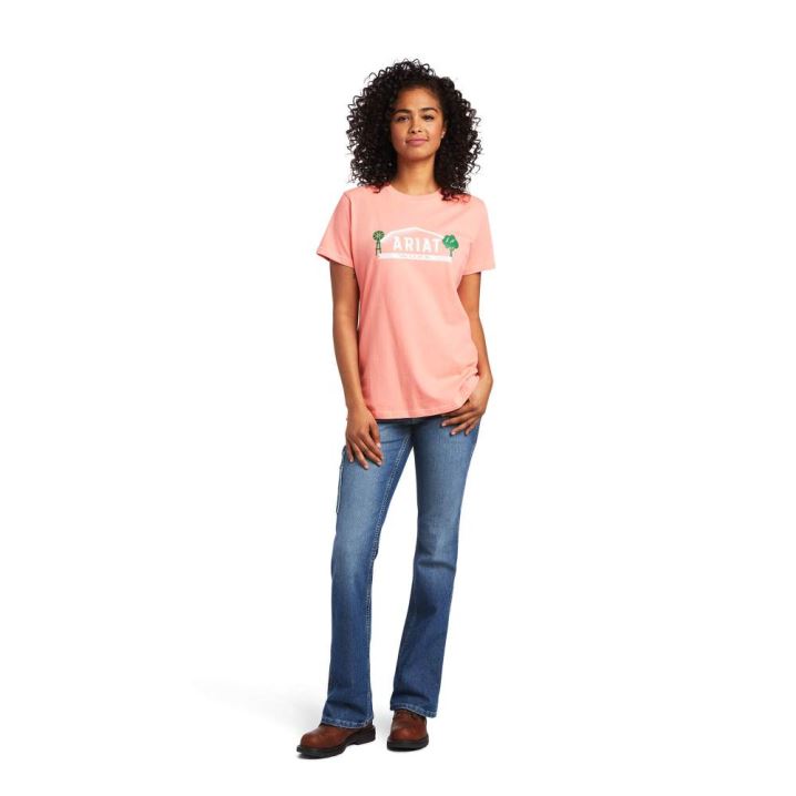 Ariat Rebar Baumwoll Strong Farm Graphic T-Shirt Summer Melon | B9NJZOzw