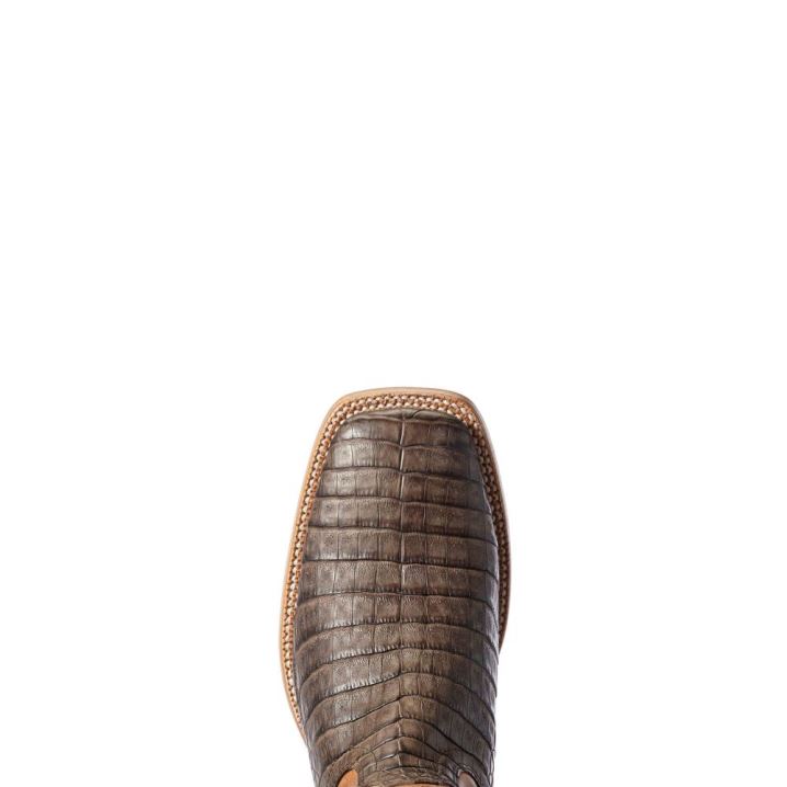 Ariat Relentless Winner's Circle Western Boot Schokolade | RpxzCrlM