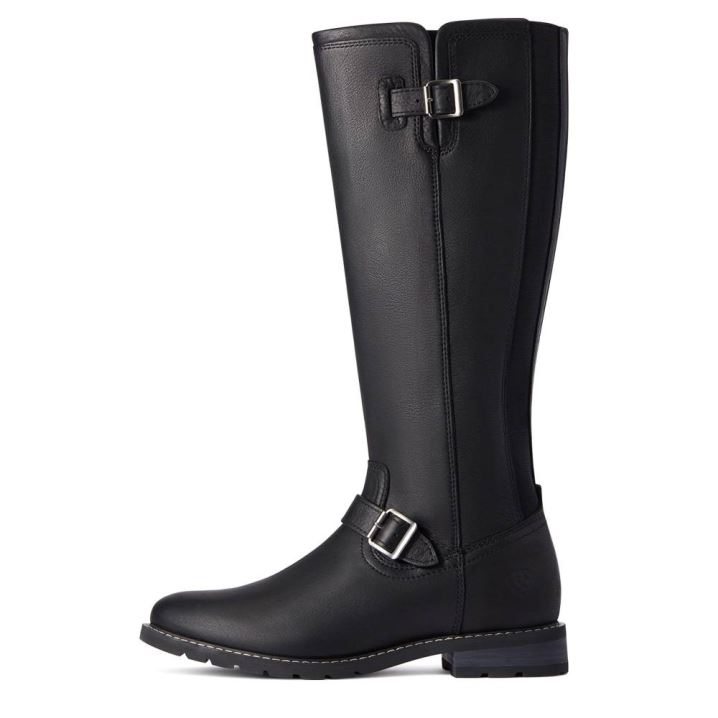 Ariat Sadie Wasserdichte Boot Schwarz | bsmHASNu