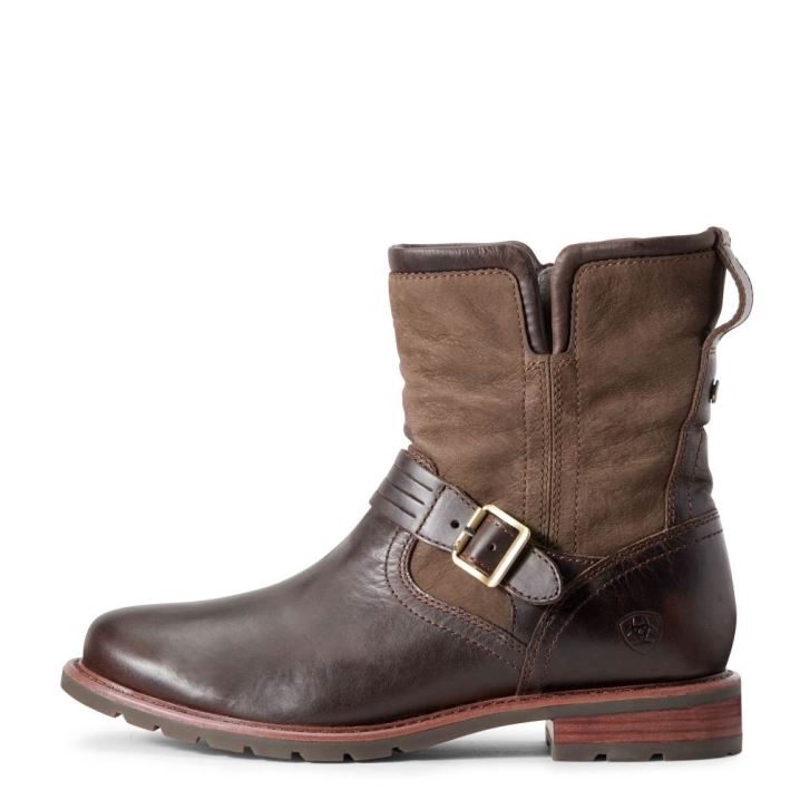 Ariat Savannah Wasserdichte Boot Schokolade | iWHwvuzS