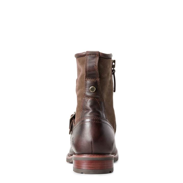 Ariat Savannah Wasserdichte Boot Schokolade | iWHwvuzS