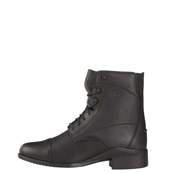 Ariat Scout Paddock Boot Schwarz | xhoHuIVa