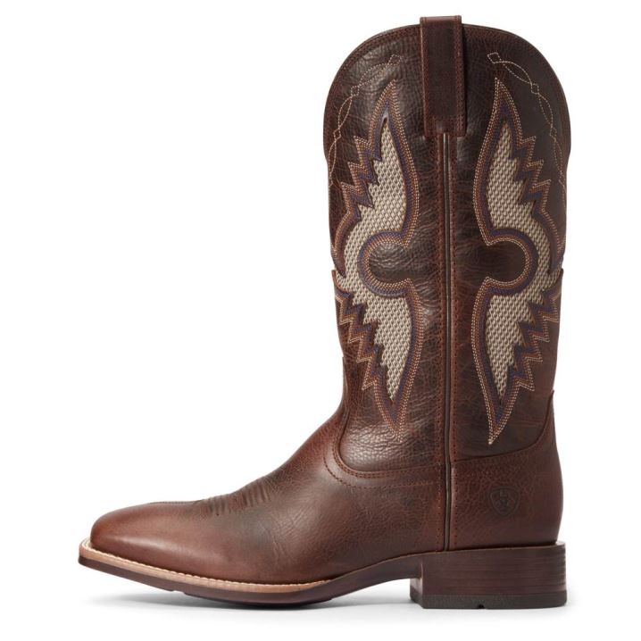 Ariat Solado VentTEK Western Boot Dunkel | bQFquAsw