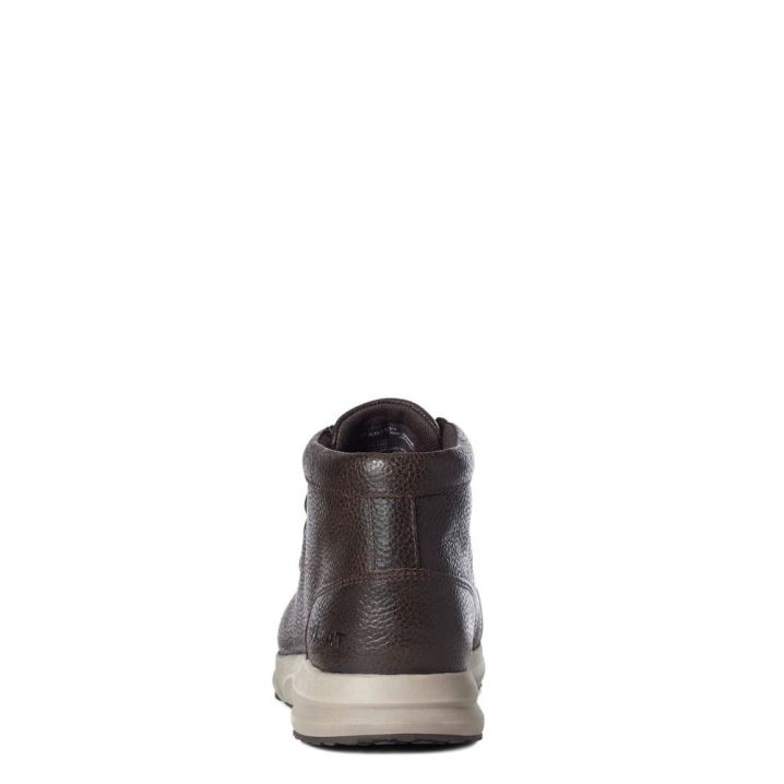 Ariat Spitfire Braun | 7hxAPskt