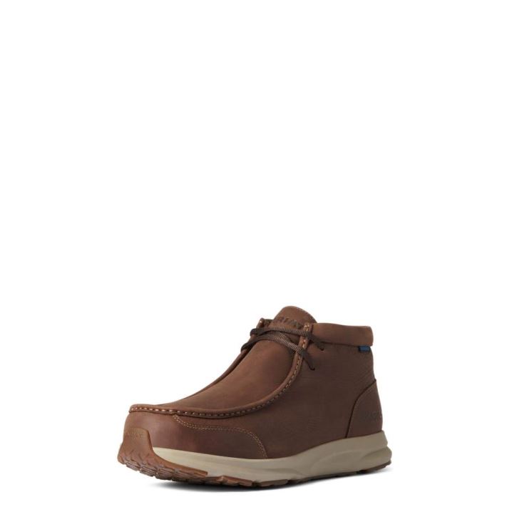 Ariat Spitfire Wasserdichte Braun | 6F6Vs4l8