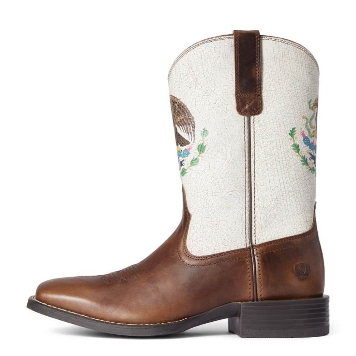 Ariat Sport Orgullo Mexicano Western Boot Schokolade | 5xJT1E1U