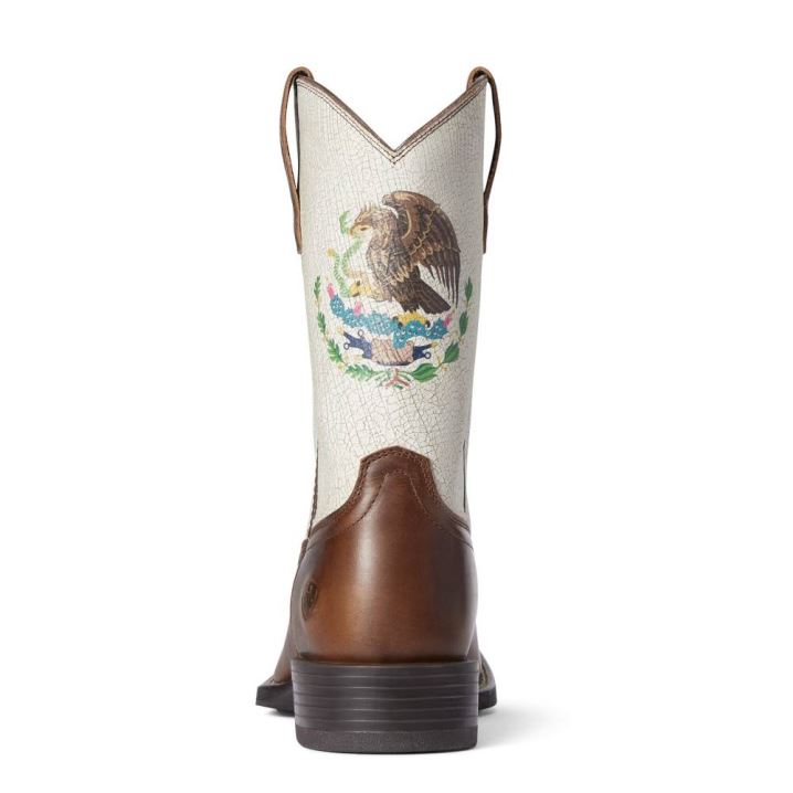 Ariat Sport Orgullo Mexicano Western Boot Schokolade | 5xJT1E1U