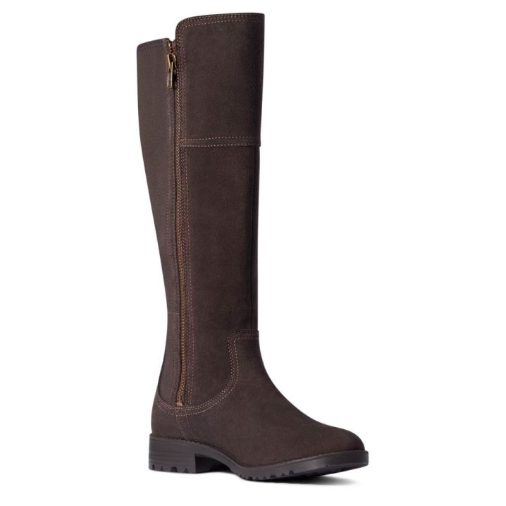 Ariat Sutton II Wasserdichte Boot Schokolade | lYYo5cFW