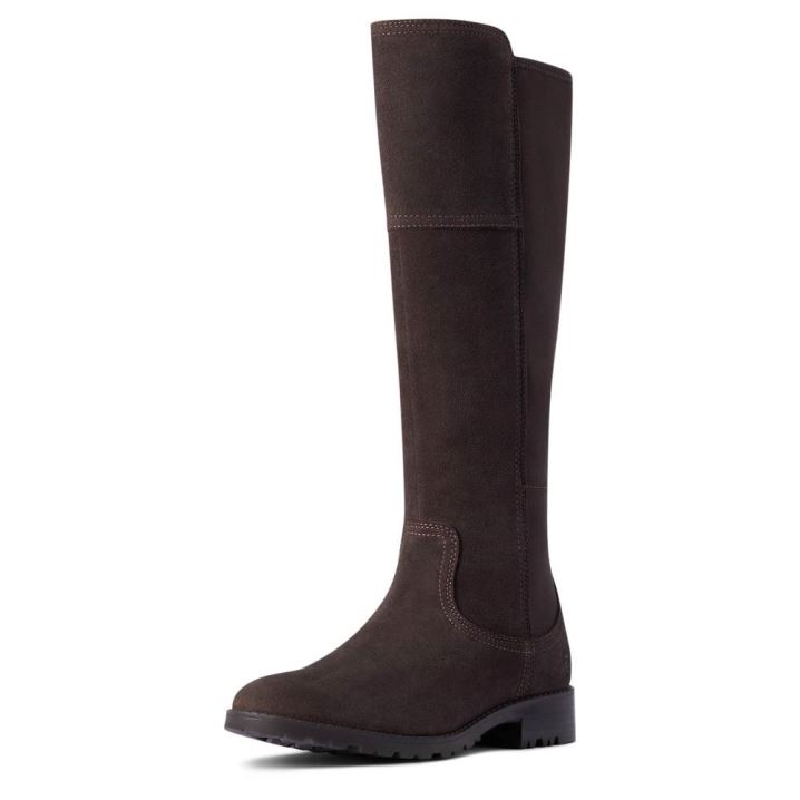 Ariat Sutton II Wasserdichte Boot Schokolade | lYYo5cFW