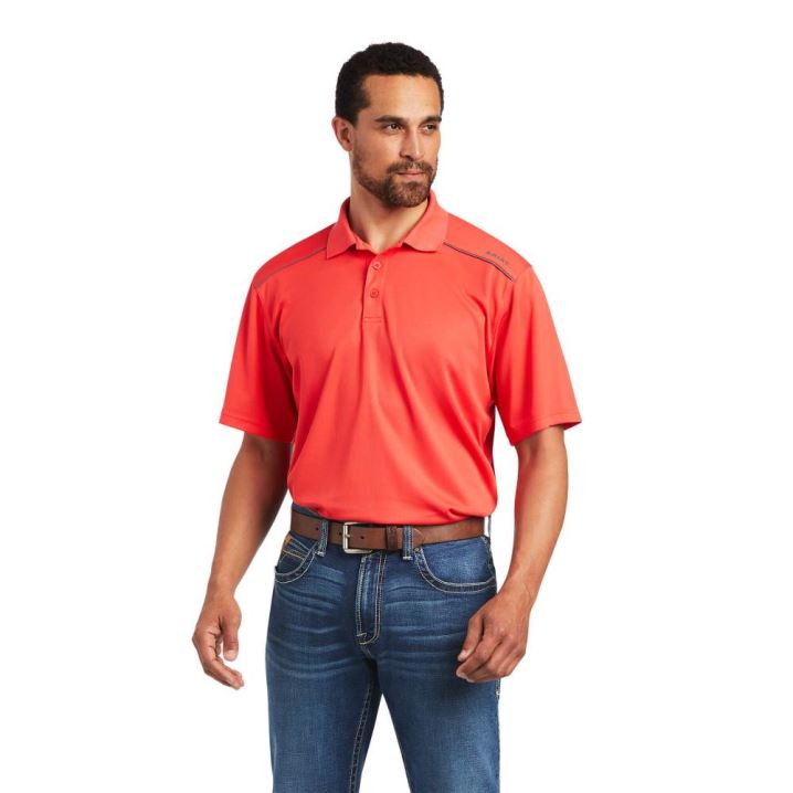 Ariat TEK 2.0 Polo Hibiscus | EH2yG1EC