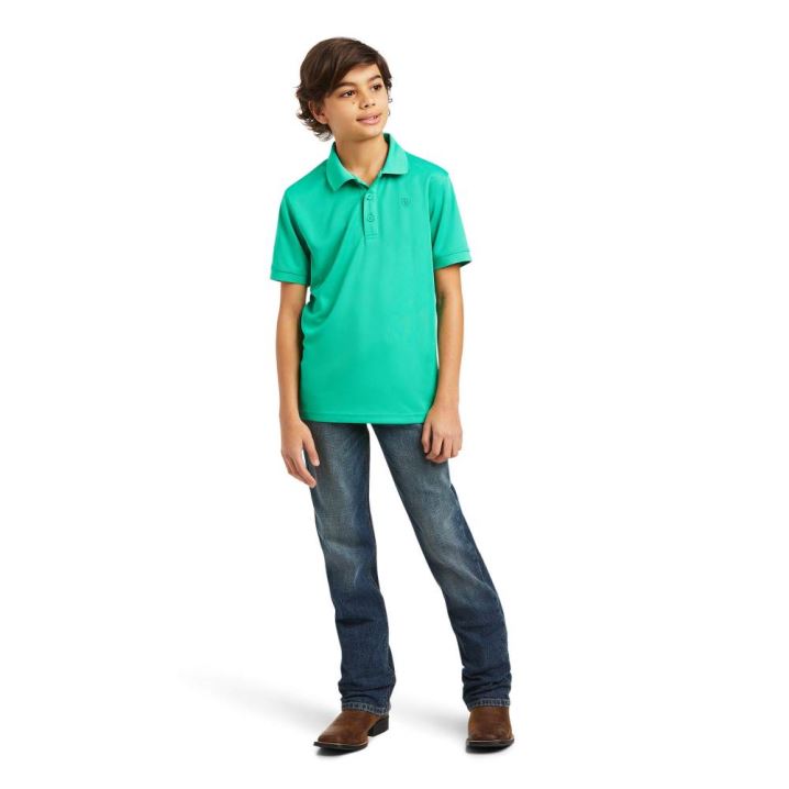 Ariat TEK Polo Mintfarben | besH7Y5u